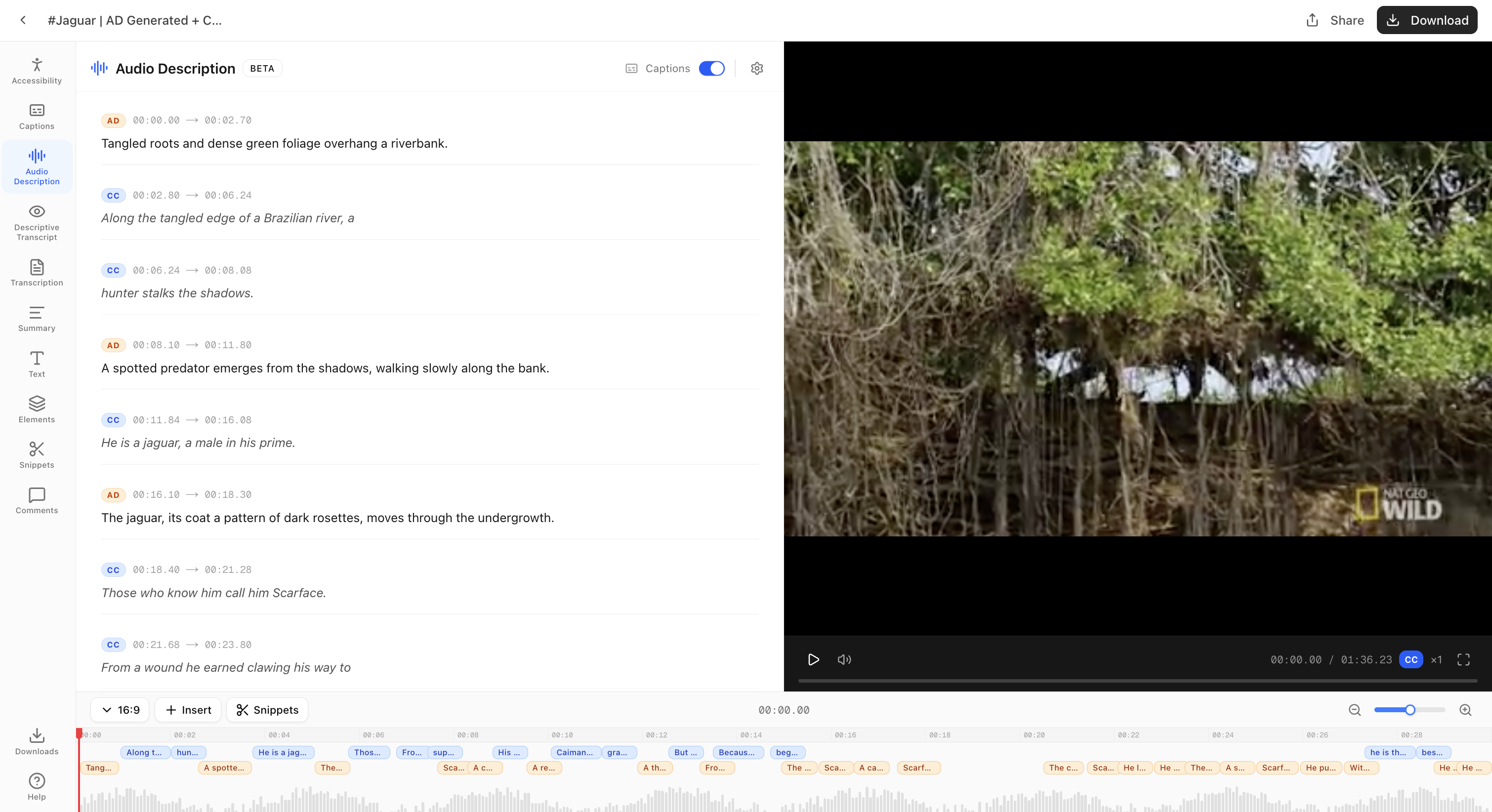 Final generated output showing Audio Descriptions and Captions interleaved on the video timeline with video preview